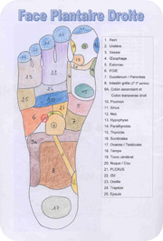 Réflexologie plantaire
